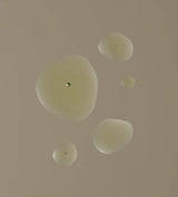 どう ネイル&キューティクルオイル sha 瀉 ho 補