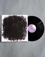 Pinhole 12inch LP / MP3 / WAV