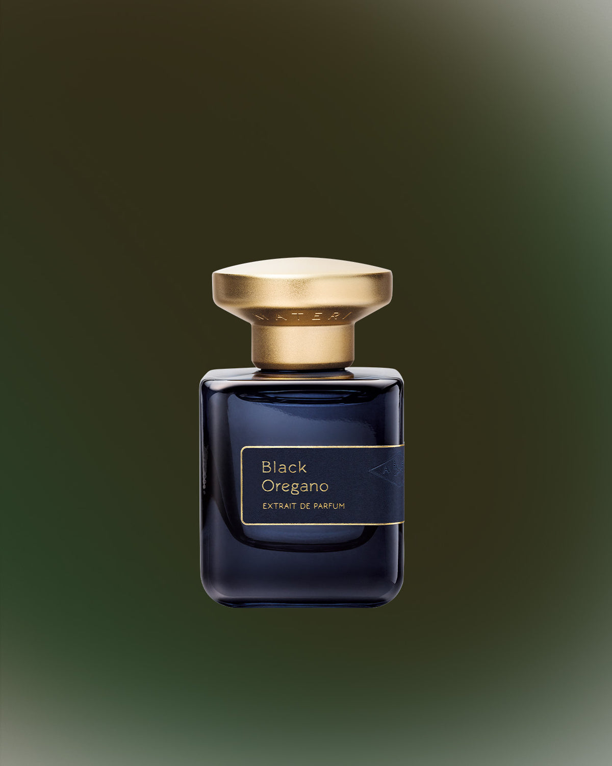Black Oregano (ブラック オレガノ) - 50ml - Atelier Materi 